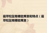 翡翠松鼠有哪些寓意和特点（翡翠松鼠有哪些寓意）