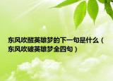 东风吹醒英雄梦的下一句是什么（东风吹破英雄梦全四句）