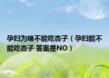 孕妇为啥不能吃杏子（孕妇能不能吃杏子 答案是NO）