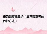 康乃馨夏季养护（康乃馨夏天的养护方法）