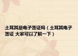 土耳其是电子签证吗（土耳其电子签证 大家可以了解一下）