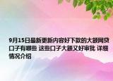 9月15日最新更新内容好下款的大额网贷口子有哪些 这些口子大额又好审批 详细情况介绍