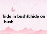 hide in bush和hide on bush