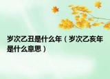 岁次乙丑是什么年（岁次乙亥年是什么意思）