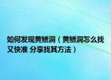如何发现黄鳝洞（黄鳝洞怎么找又快准 分享找其方法）