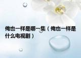 俺也一样是哪一集（俺也一样是什么电视剧）