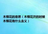 木槿花的意思（木槿花开的时候木槿花有什么含义）