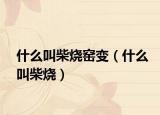什么叫柴烧窑变（什么叫柴烧）