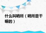 什么叫哨所（哨所是干嘛的）
