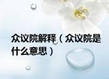 众议院解释（众议院是什么意思）