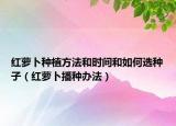 红萝卜种植方法和时间和如何选种子（红萝卜播种办法）