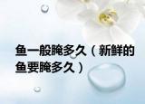 鱼一般腌多久（新鲜的鱼要腌多久）