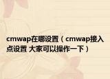 cmwap在哪设置（cmwap接入点设置 大家可以操作一下）