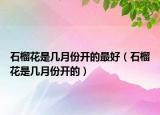 石榴花是几月份开的最好（石榴花是几月份开的）