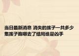 当日最新消息 消失的孩子一共多少集孩子跑哪去了结局谁是凶手