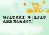 蛏子王怎么清理干净（圣子王怎么清洗 怎么去掉沙包）