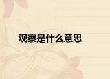 观察是什么意思