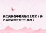 妾之美我者中的美是什么意思（妾之美我者中之是什么意思）