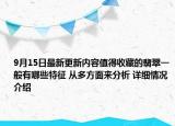 9月15日最新更新内容值得收藏的翡翠一般有哪些特征 从多方面来分析 详细情况介绍