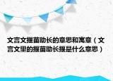 文言文揠苗助长的意思和寓意（文言文里的揠苗助长揠是什么意思）