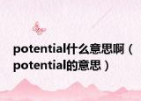 potential什么意思啊（potential的意思）