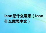 icon是什么意思（icon什么意思中文）