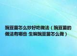 豌豆苗怎么炒好吃做法（豌豆苗的做法有哪些 生煸豌豆苗怎么做）