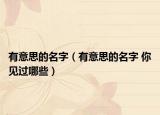 有意思的名字（有意思的名字 你见过哪些）
