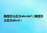 胸围怎么区分abcdef（胸围怎么区分abcd）