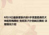 9月15日最新更新内容3岁男童路遇烈犬挣脱狗绳撕咬 狗将孩子扑倒疯狂撕咬 详细情况介绍