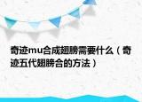奇迹mu合成翅膀需要什么（奇迹五代翅膀合的方法）