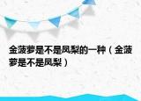 金菠萝是不是凤梨的一种（金菠萝是不是凤梨）