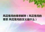 风花雪月的意思解释（风花雪月的意思 风花雪月的含义是什么）