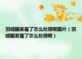 羽绒服发霉了怎么处理呢图片（羽绒服发霉了怎么处理呢）