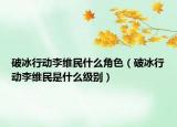 破冰行动李维民什么角色（破冰行动李维民是什么级别）