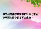 笋干如何保存不受潮和发虫（干的笋干要如何存放才不会生虫）