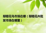 鄢陵花鸟市场在哪（鄢陵花卉批发市场在哪里）