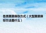 各类蔬菜保存方式（大型蔬菜保存方法是什么）