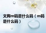 文胸m码是什么码（m码是什么码）