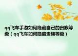 qq飞车手游如何隐藏自己的贵族等级（qq飞车如何隐藏贵族等级）