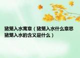 猪笼入水寓意（猪笼入水什么意思 猪笼入水的含义是什么）