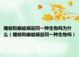 蟾蜍和癞蛤蟆是同一种生物吗为什么（蟾蜍和癞蛤蟆是同一种生物吗）