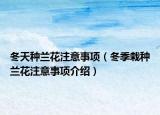 冬天种兰花注意事项（冬季栽种兰花注意事项介绍）