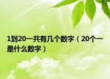 1到20一共有几个数字（20个一是什么数字）