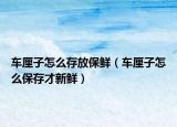 车厘子怎么存放保鲜（车厘子怎么保存才新鲜）