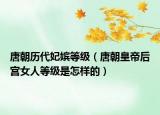 唐朝历代妃嫔等级（唐朝皇帝后宫女人等级是怎样的）