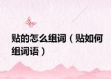 贴的怎么组词（贴如何组词语）