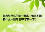 兔肉与什么不能一起吃（兔肉不能和什么一起吃 都来了解一下）