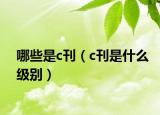 哪些是c刊（c刊是什么级别）