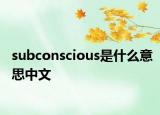 subconscious是什么意思中文